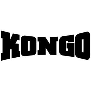 Does Kongo Tech have any subsidiaries? - Job Shankar