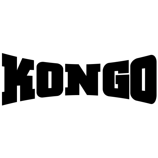 Does Kongo Tech have any subsidiaries?